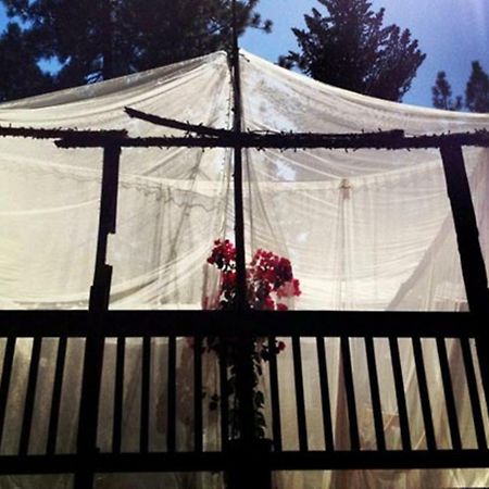 The Red Rooster Lodge Coulterville Esterno foto