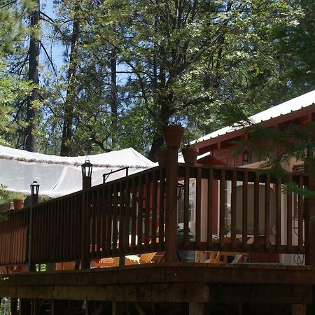 The Red Rooster Lodge Coulterville Esterno foto