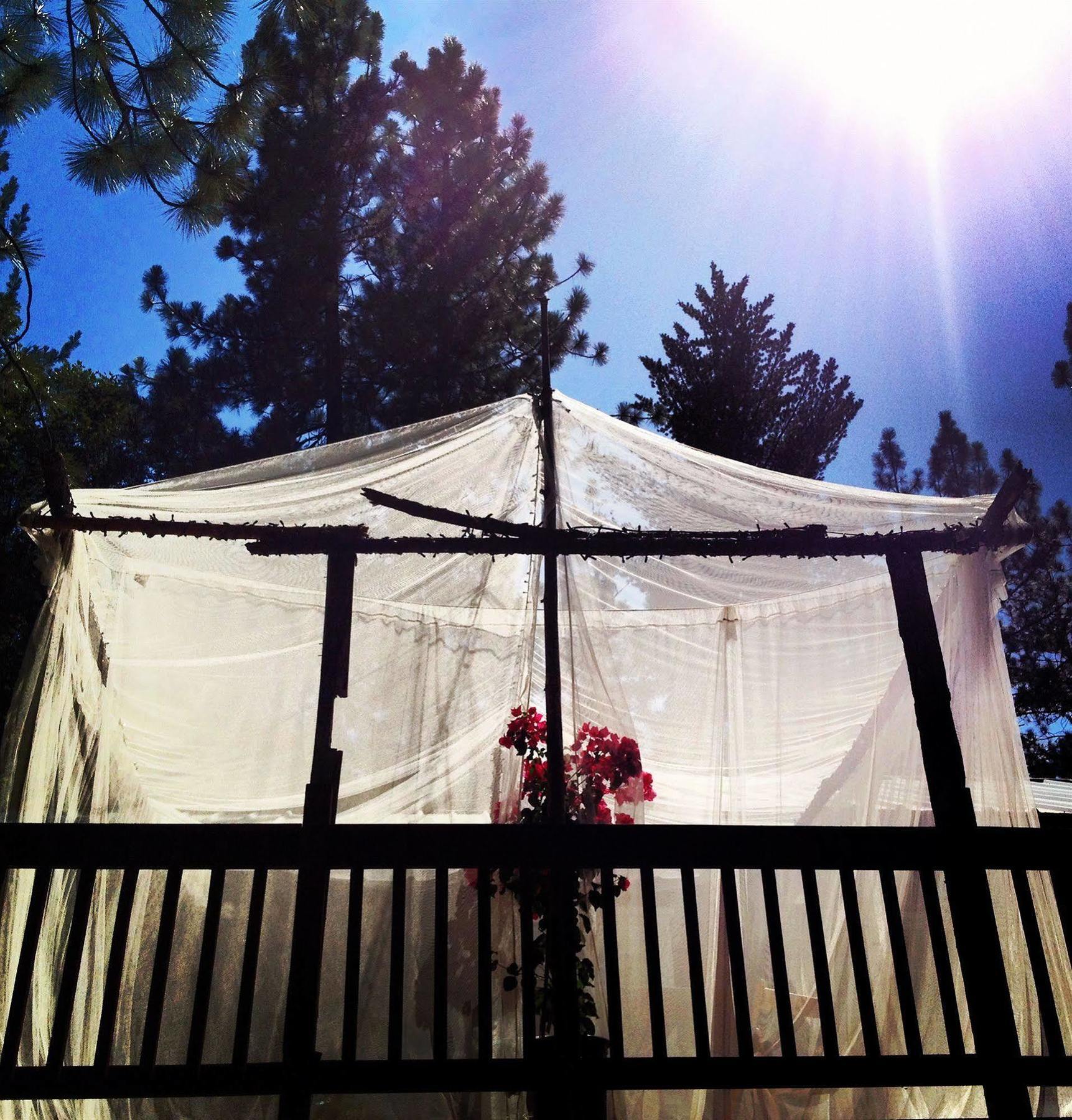 The Red Rooster Lodge Coulterville Esterno foto