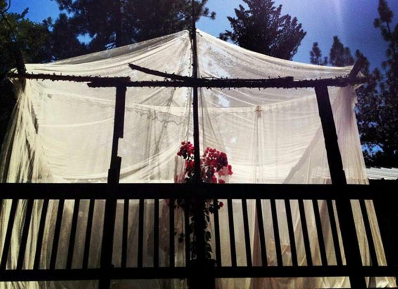 The Red Rooster Lodge Coulterville Esterno foto