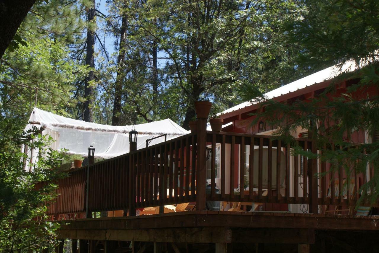 The Red Rooster Lodge Coulterville Esterno foto